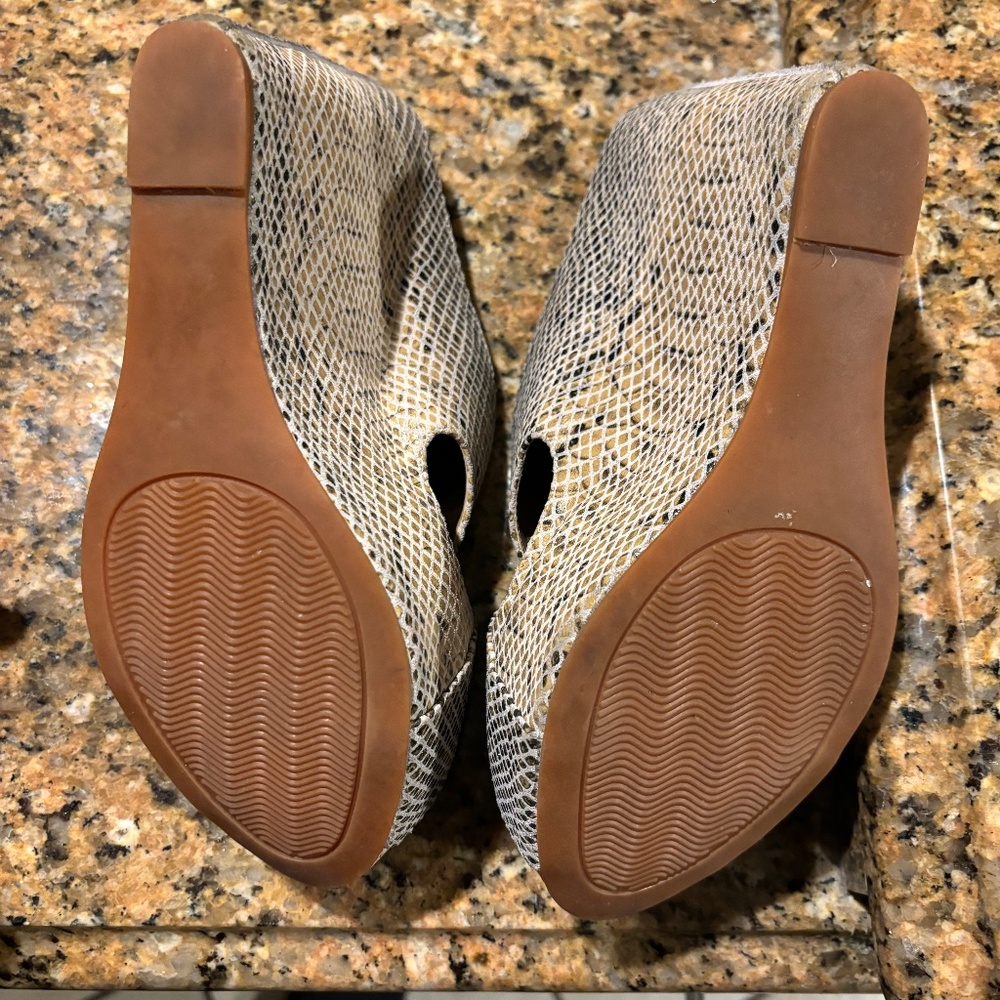 Obsession Rules Size 7.5 Platform Snake Skin Prin… - image 3